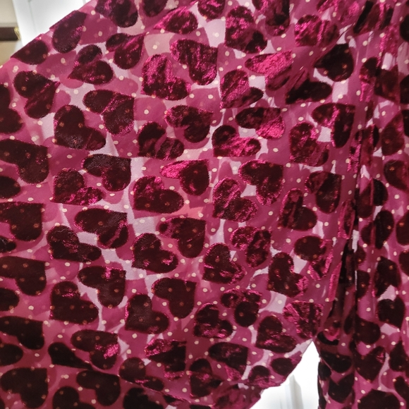 Anthropologie Maeve Velvet Burnout Blouse Heart Red Sheer Top - Picture 13 of 14